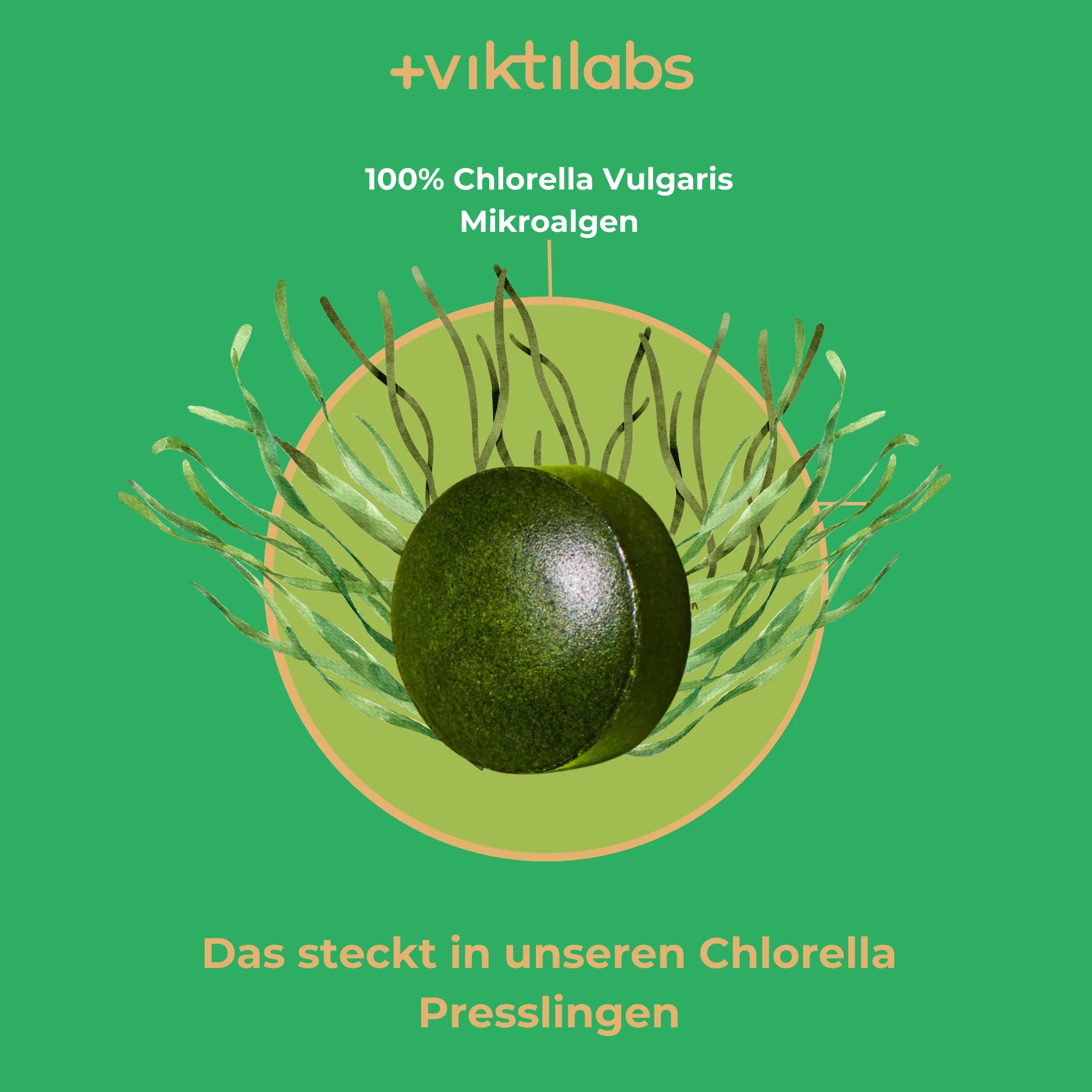 Produktbild 6